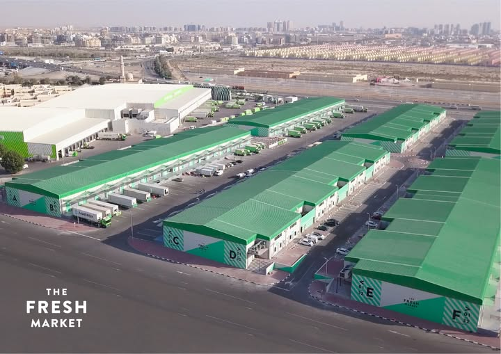 image_2026-03-16_09-56-23