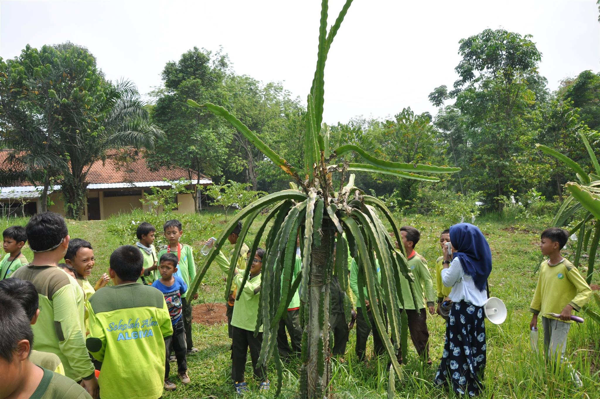 image_2026-03-16_15-40-52