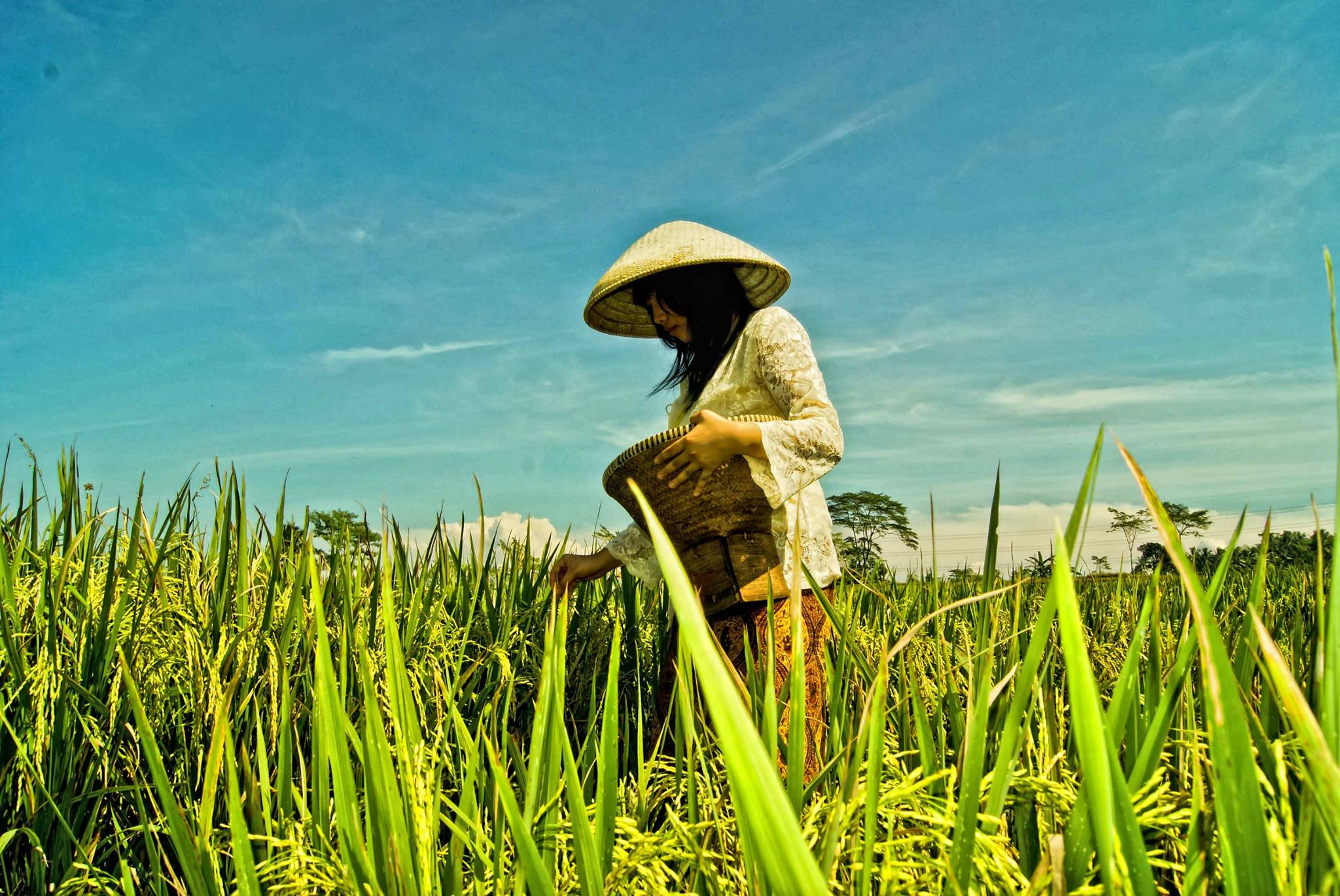 image_2026-03-16_15-45-20