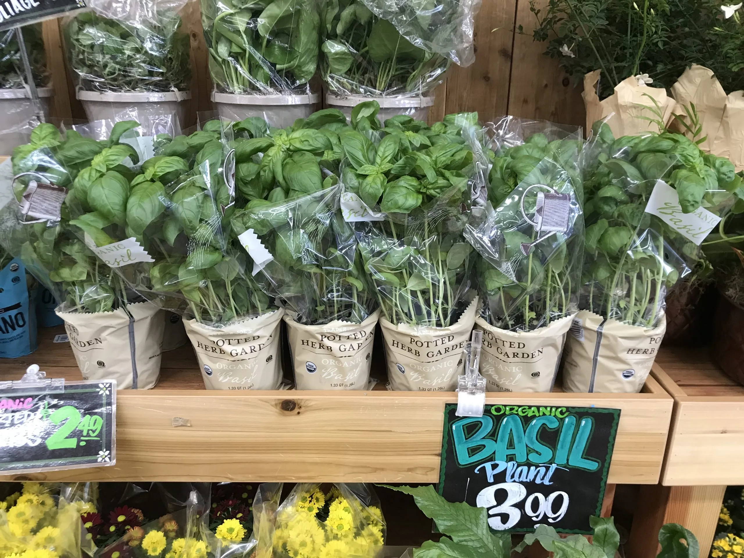 image_2026-03-17_15-59-31