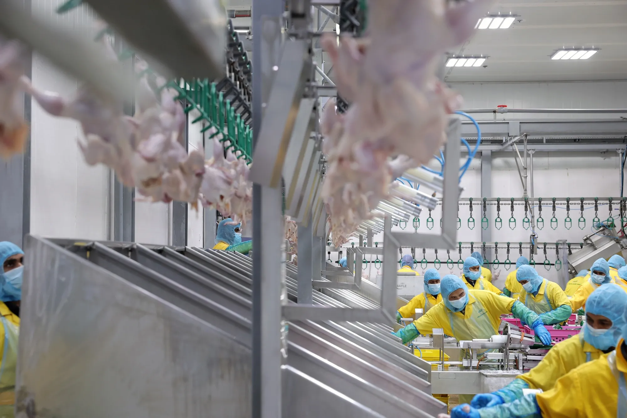 image_2026-03-23_09-16-41