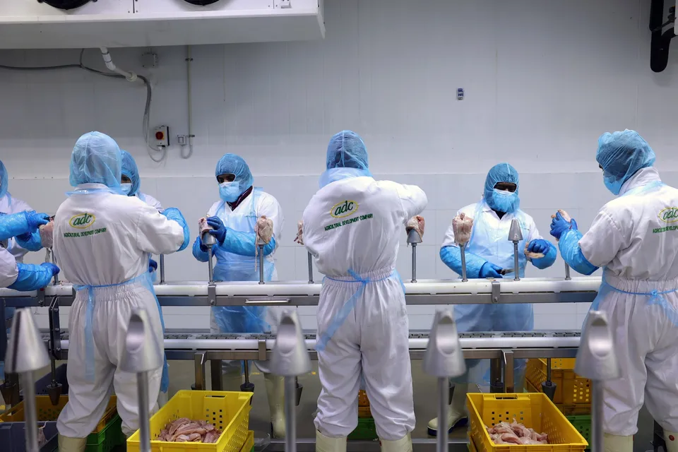 image_2026-03-23_09-17-46