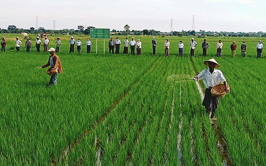 image_2026-03-24_07-15-26