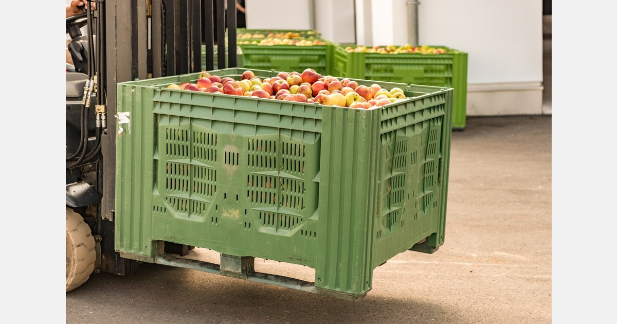 image_2026-03-26_08-29-35