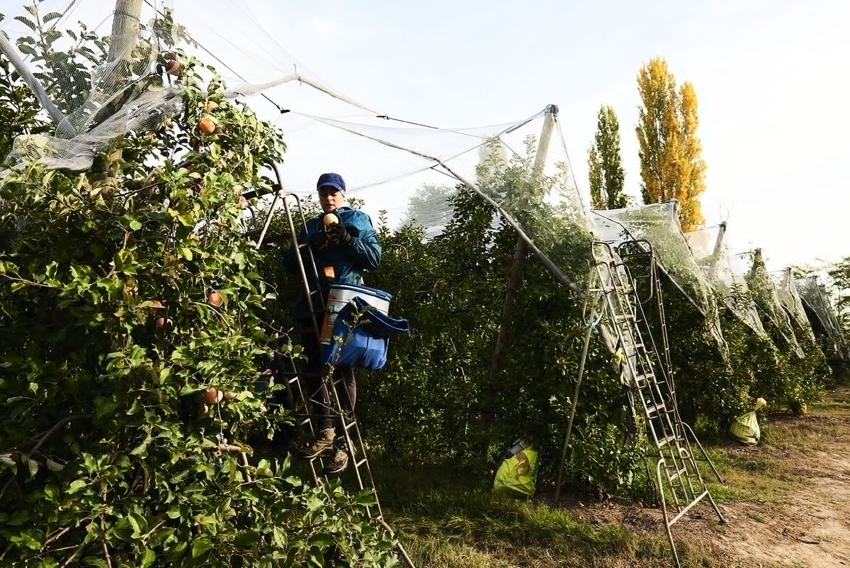 image_2026-03-26_08-33-15