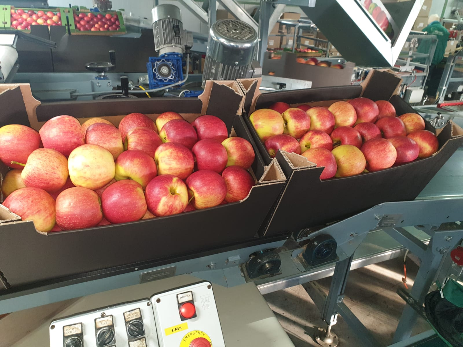 image_2026-03-26_08-36-33