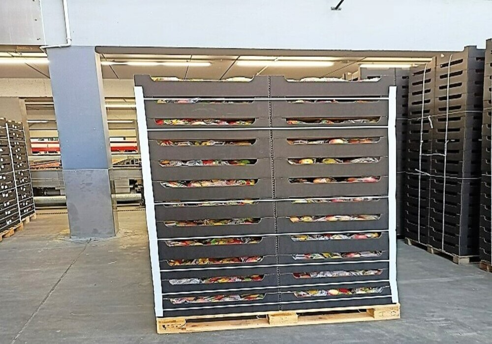 image_2026-03-26_08-36-56