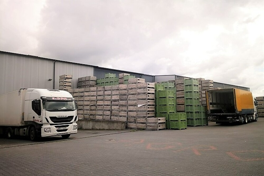 image_2026-03-26_08-37-10