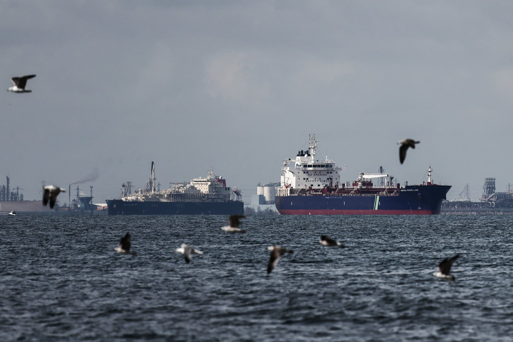 image_2026-03-26_08-41-06