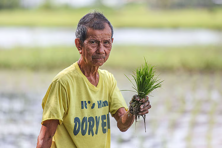 image_2026-03-30_08-32-20