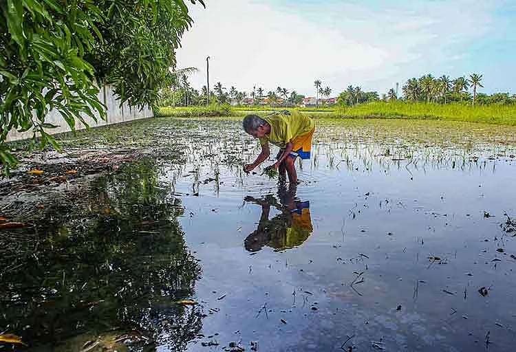 image_2026-03-30_08-32-47