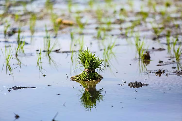 image_2026-03-30_08-33-29