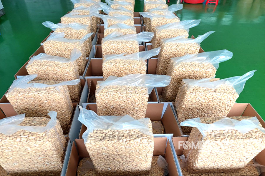 organic-cashew-kernel-factory-fomexco-jsc-vietnam