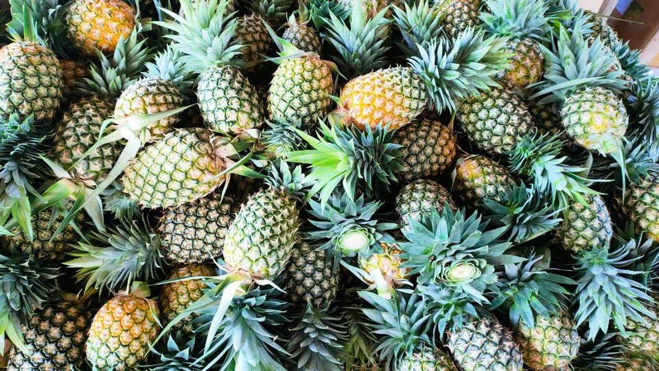 photo_2022-05-07_21-22-56.2e16d0ba.fill-960x540