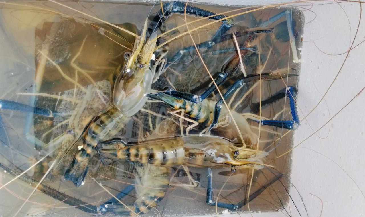 photo_2026-02-16_09-50-37