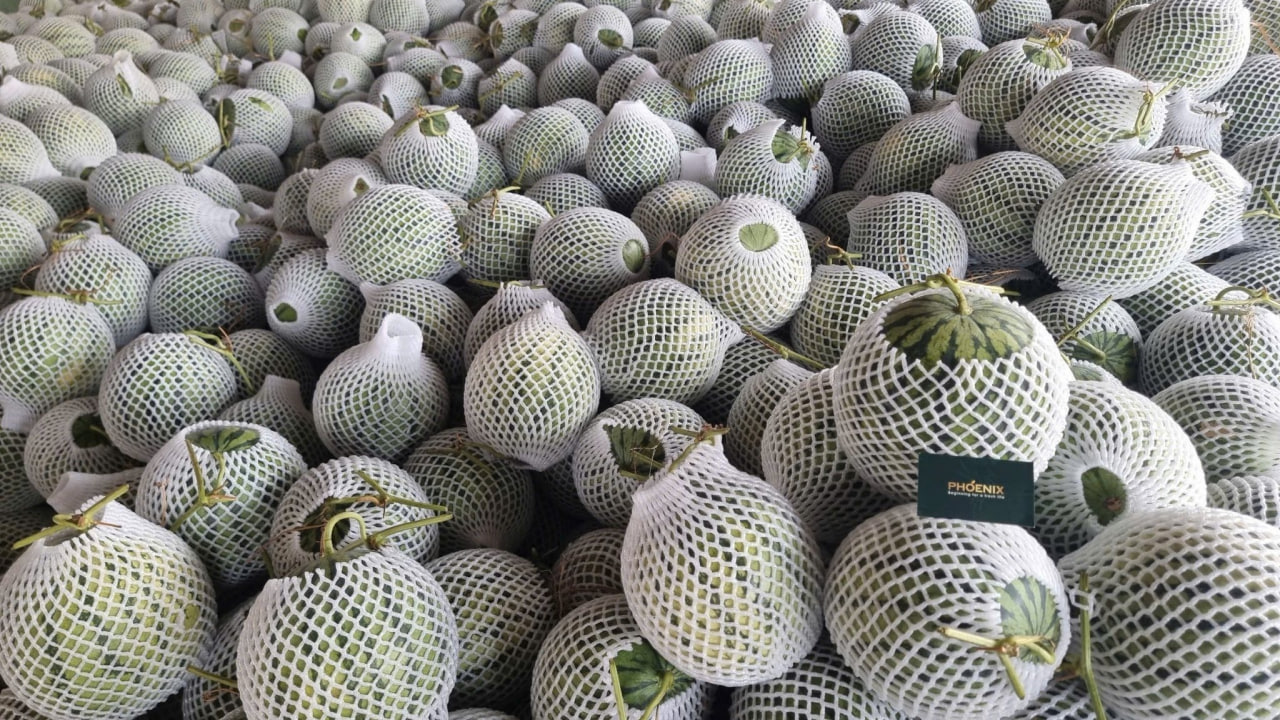 photo_2026-03-02_09-43-59