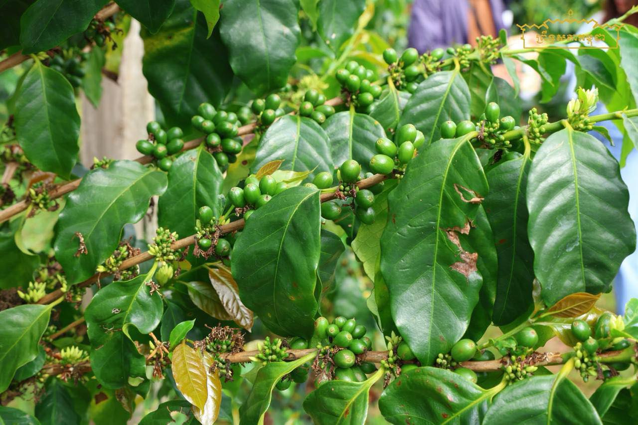 photo_2026-03-03_13-20-13 (2)