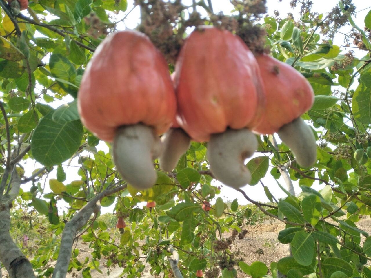 photo_2026-03-04_08-30-56 (3)