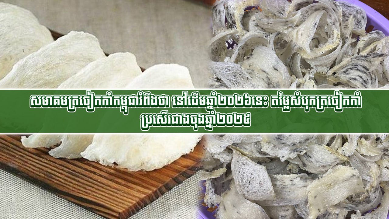 photo_2026-03-05_10-29-32