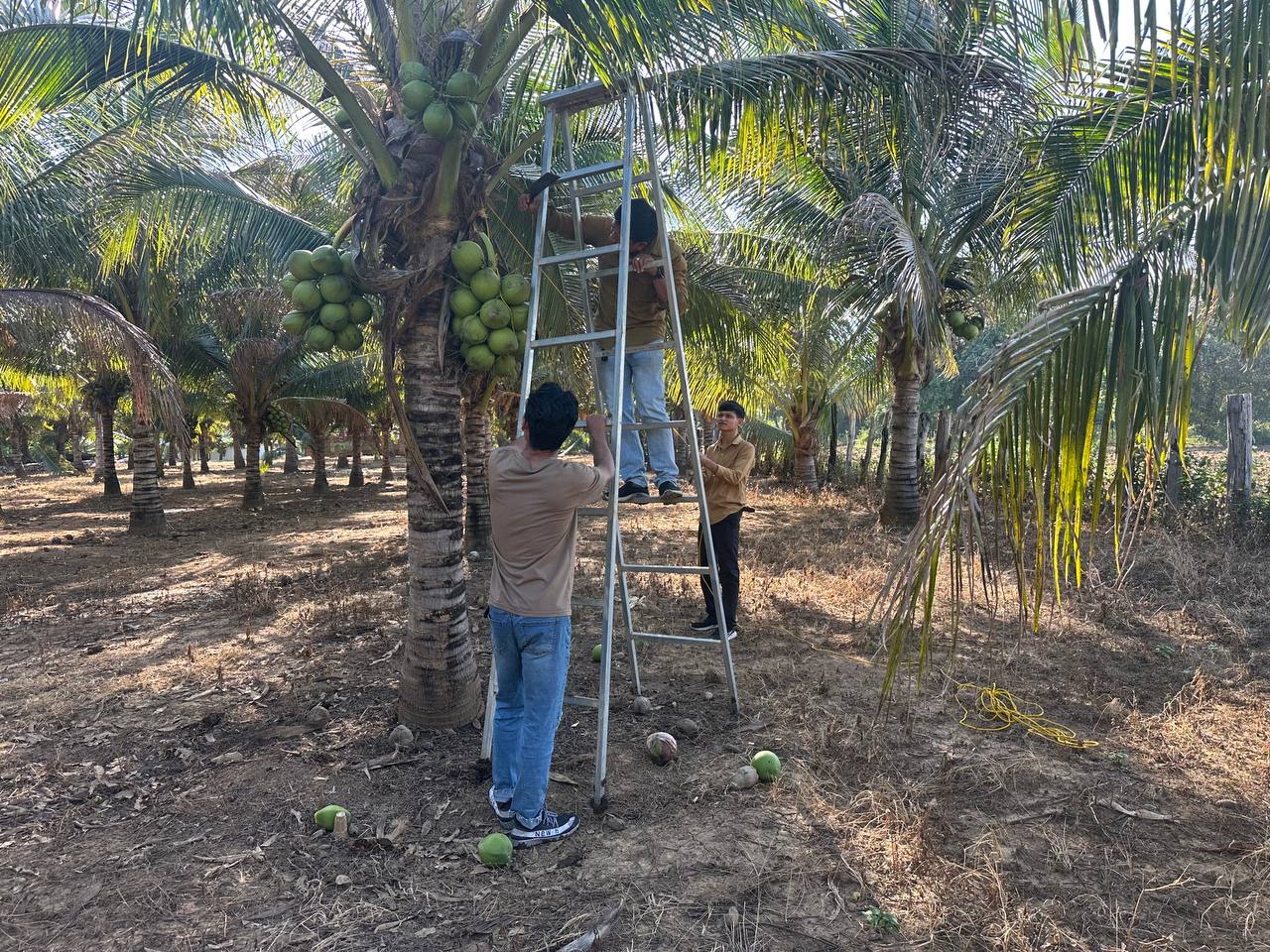 photo_2026-03-09_13-14-04
