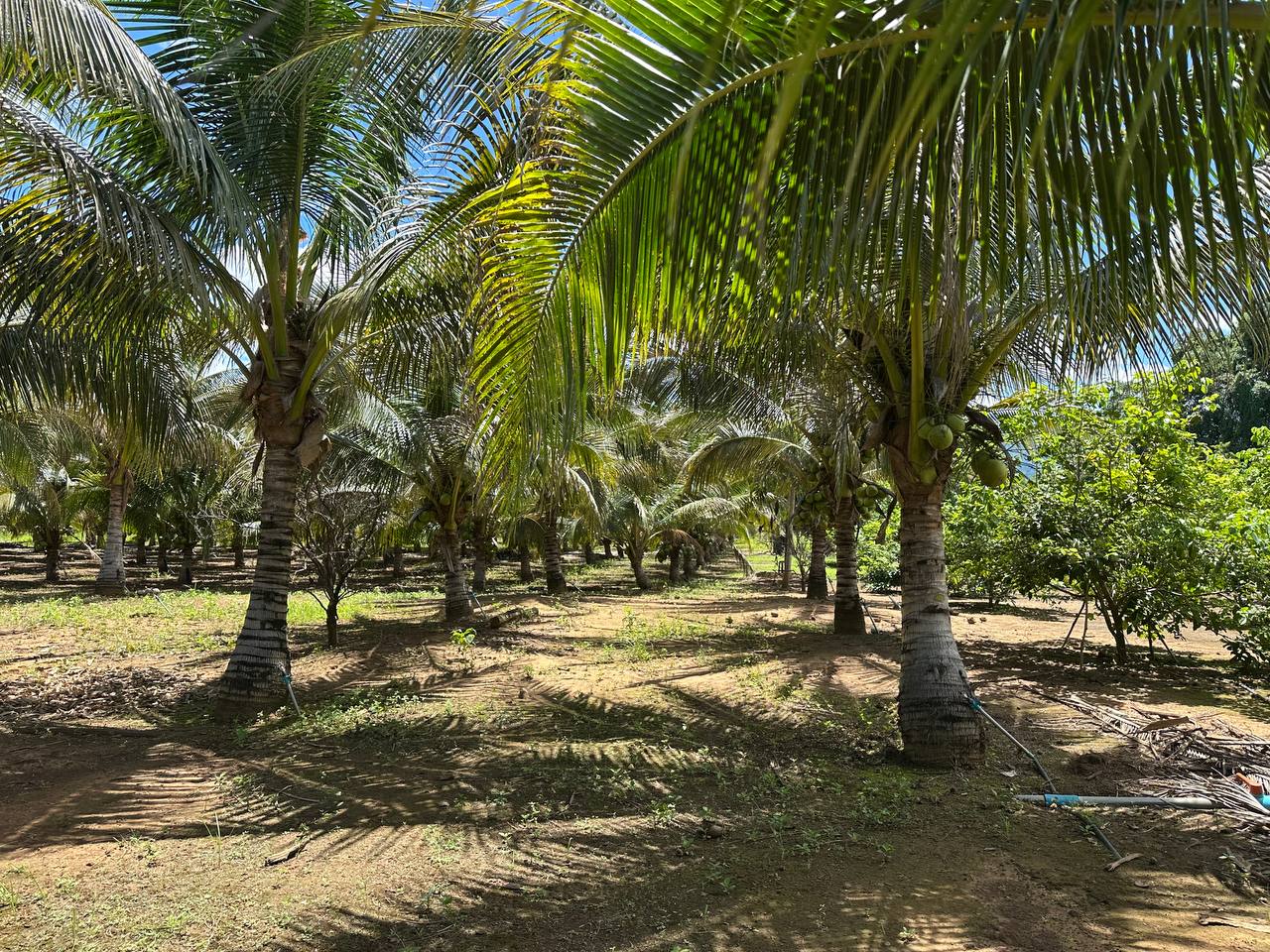 photo_2026-03-09_13-14-18 (2)