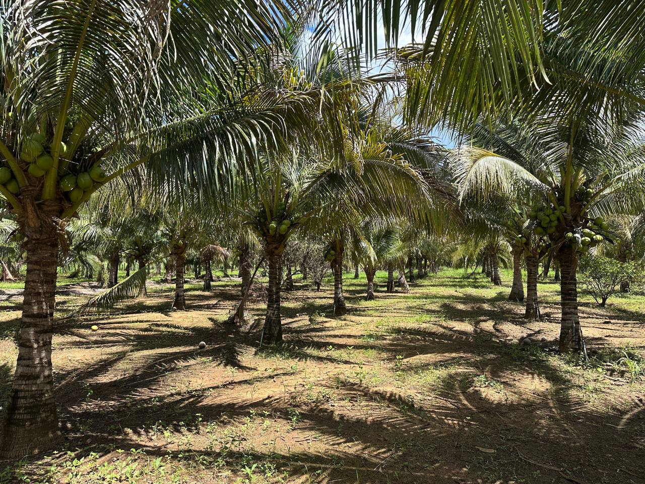 photo_2026-03-09_13-14-18