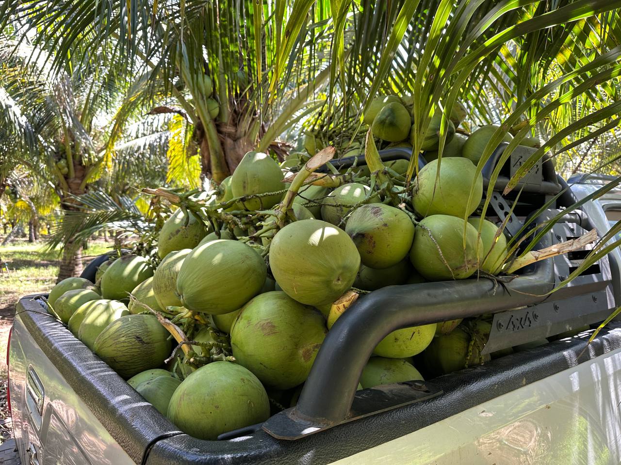 photo_2026-03-09_13-14-19 (3)