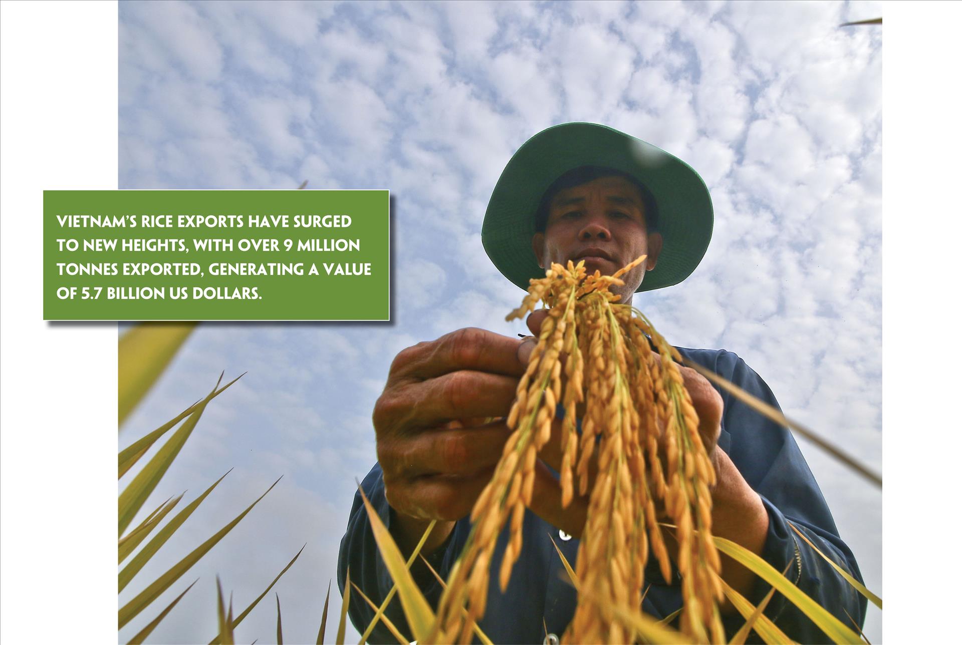 tieu-diem-box11-10-19-7