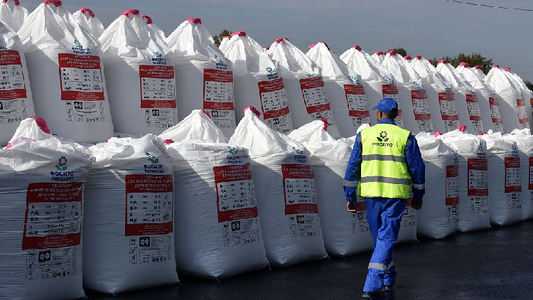 3e2ef29d5a594202a43d987d1312df56-750