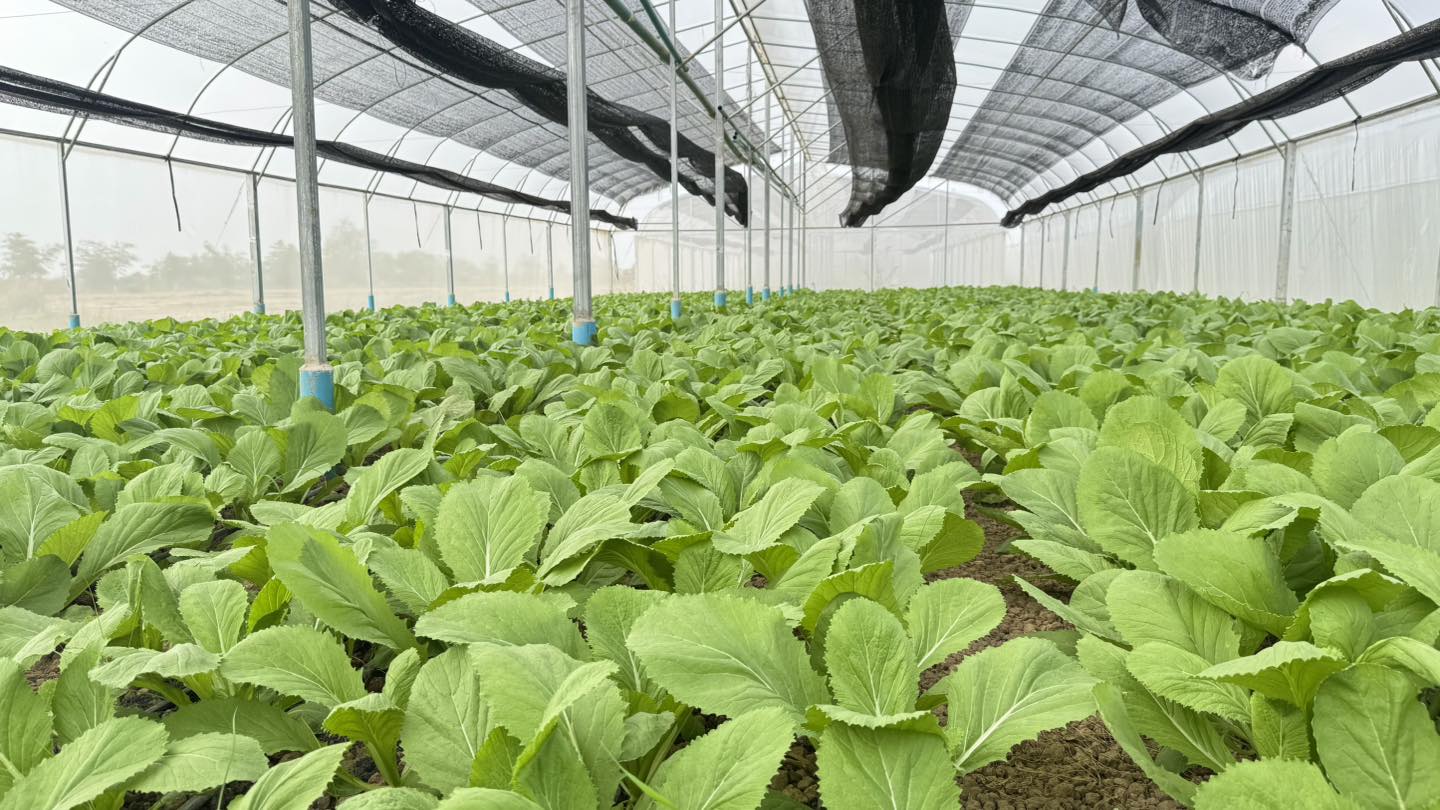 502394020_1319531649505641_6616677683573055953_n