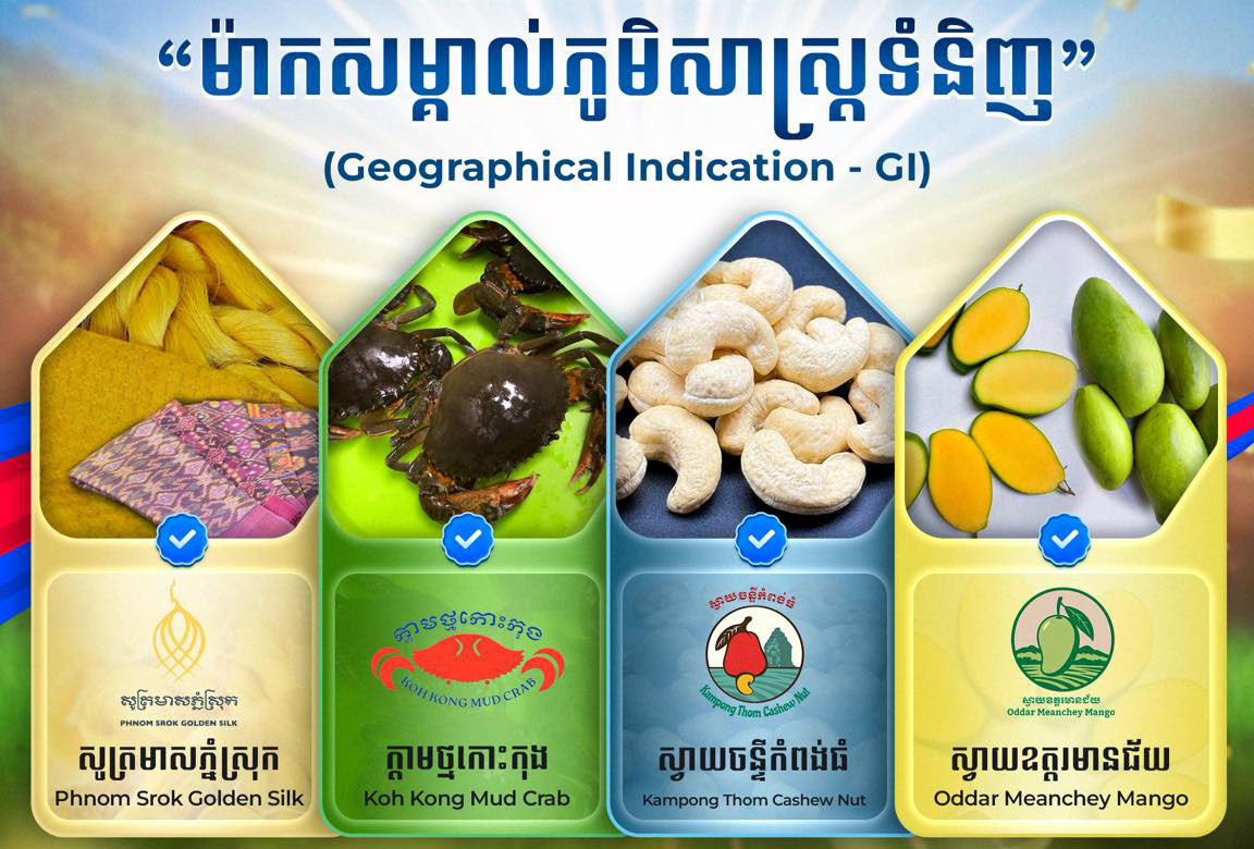 680548048_1366552802169205_4311842262005945880_n