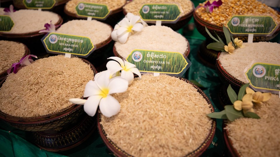 Cambodia_Rice_Forum_CAPRED_Austral.2e16d0ba.fill-960x540