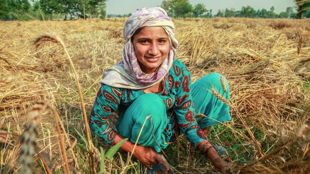 image_2026-03-31_07-22-13