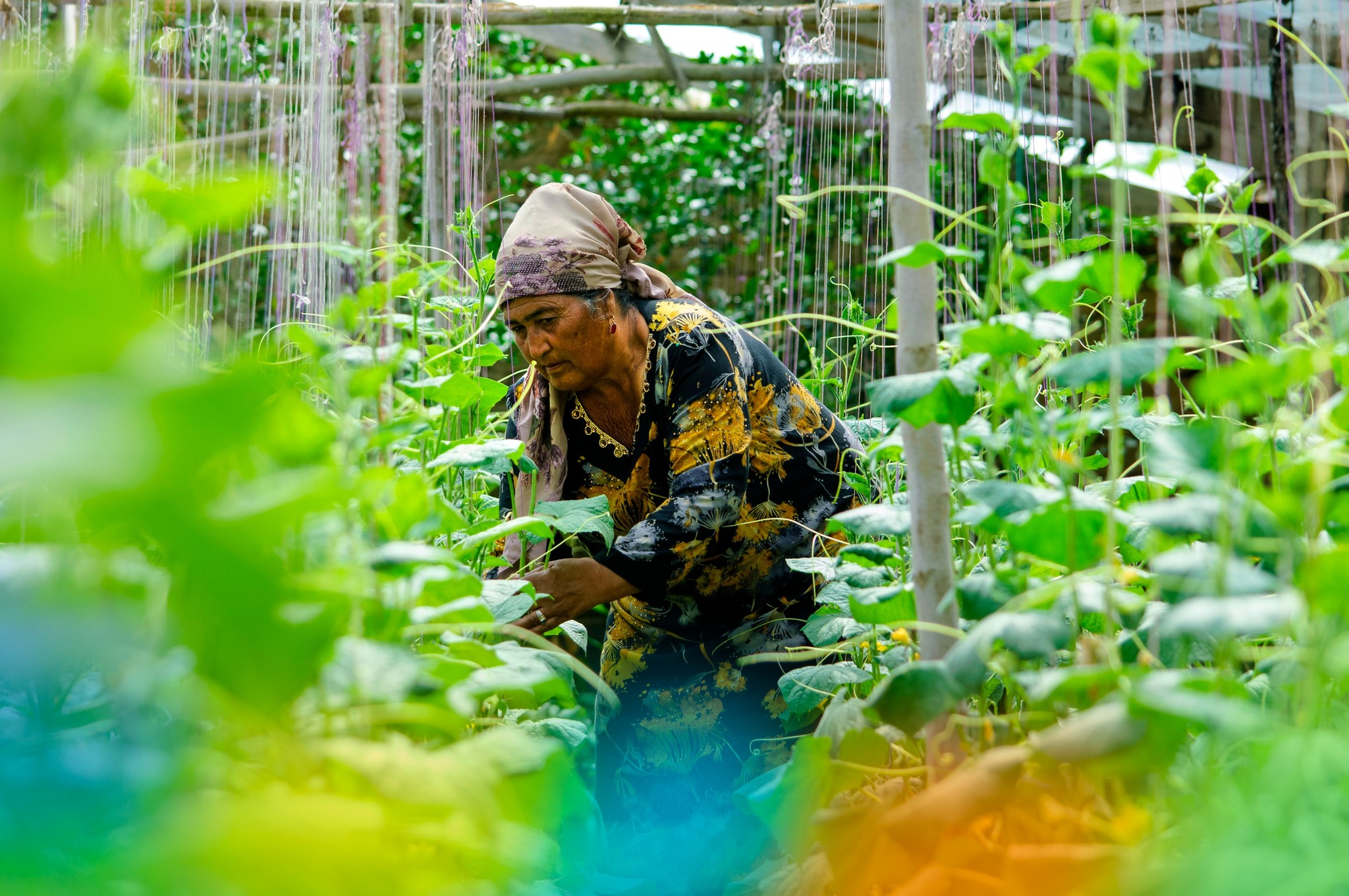 image_2026-03-31_07-26-23