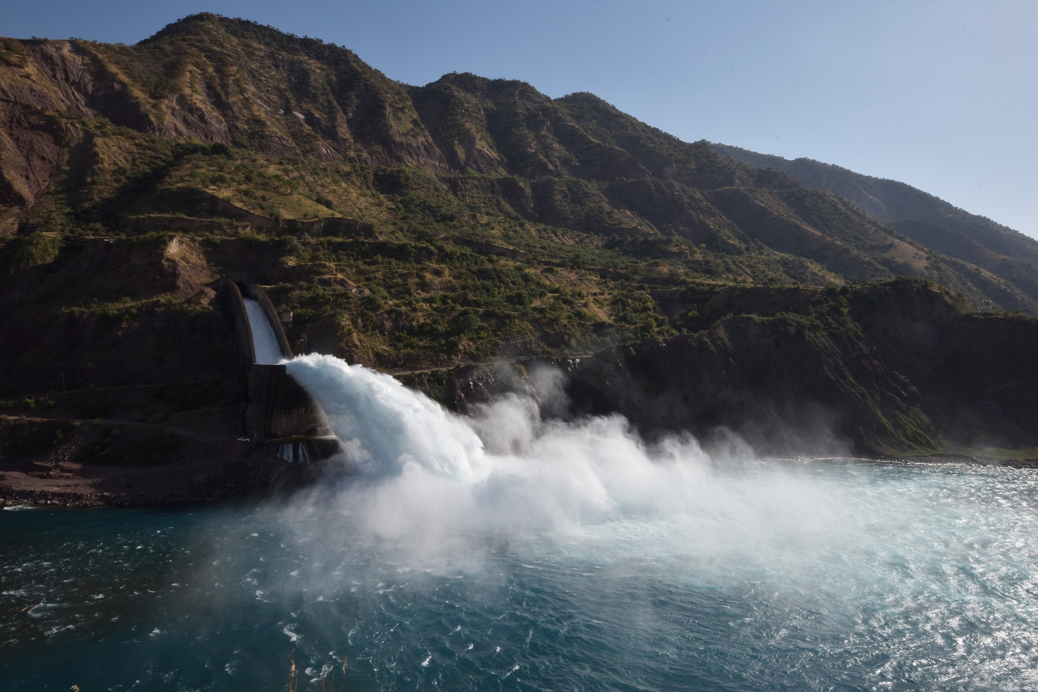 image_2026-03-31_07-28-43