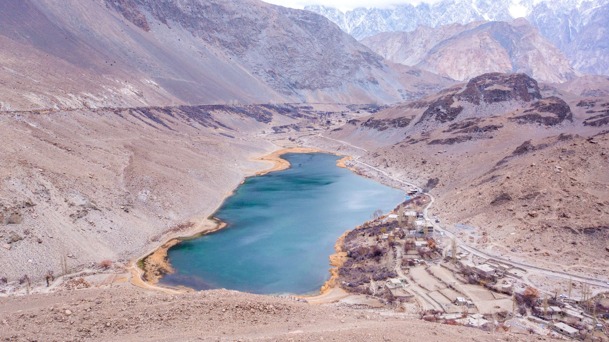 image_2026-03-31_07-29-41