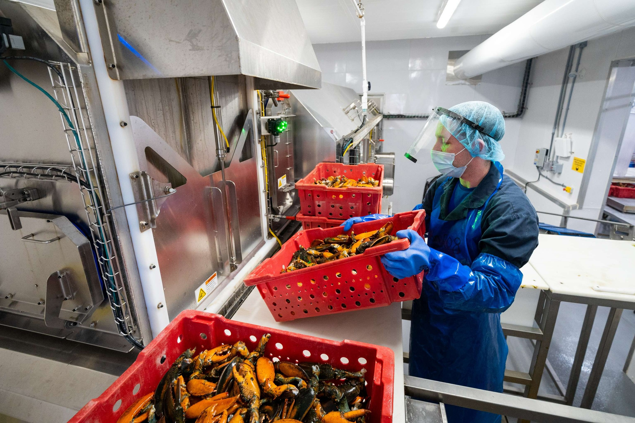 image_2026-03-31_08-00-58