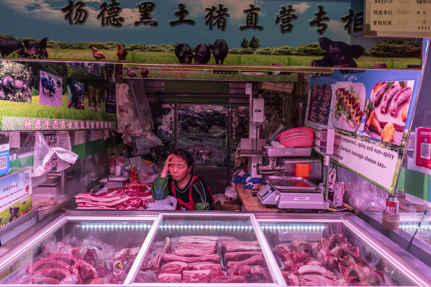 image_2026-03-31_09-42-13