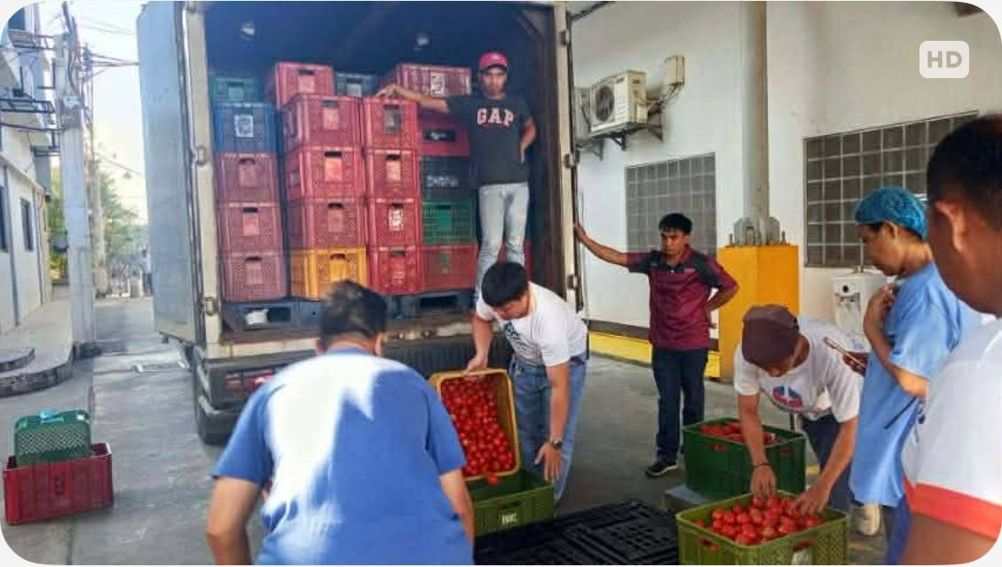 image_2026-04-01_08-13-44