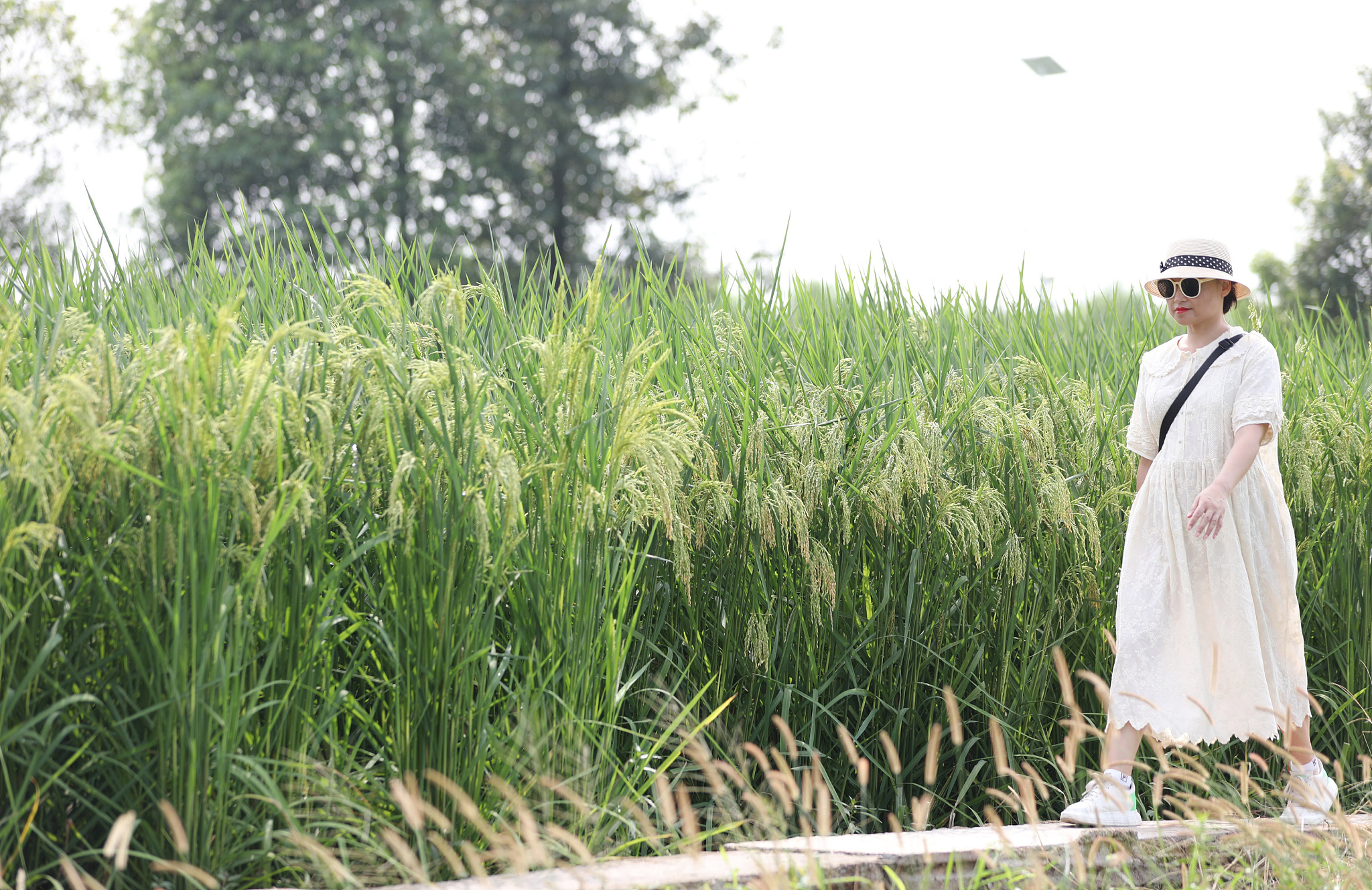 image_2026-04-01_09-17-44