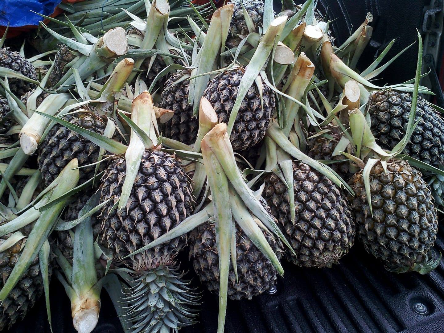 image_2026-04-01_11-05-45