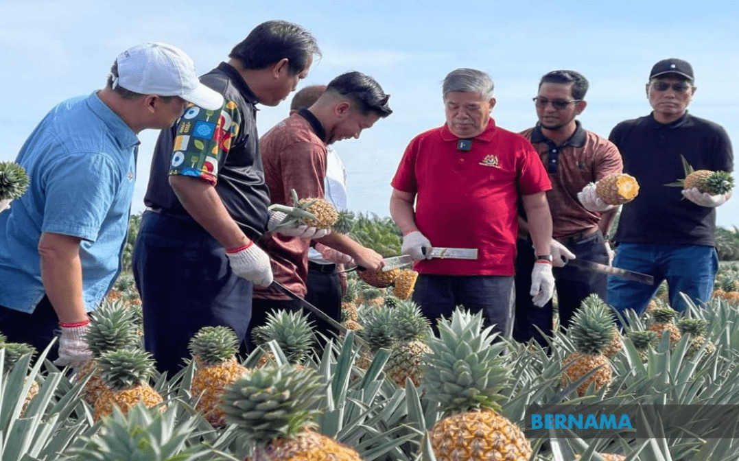 image_2026-04-01_11-06-57