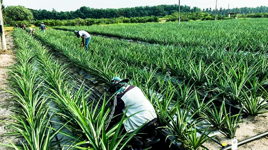 image_2026-04-01_11-09-23