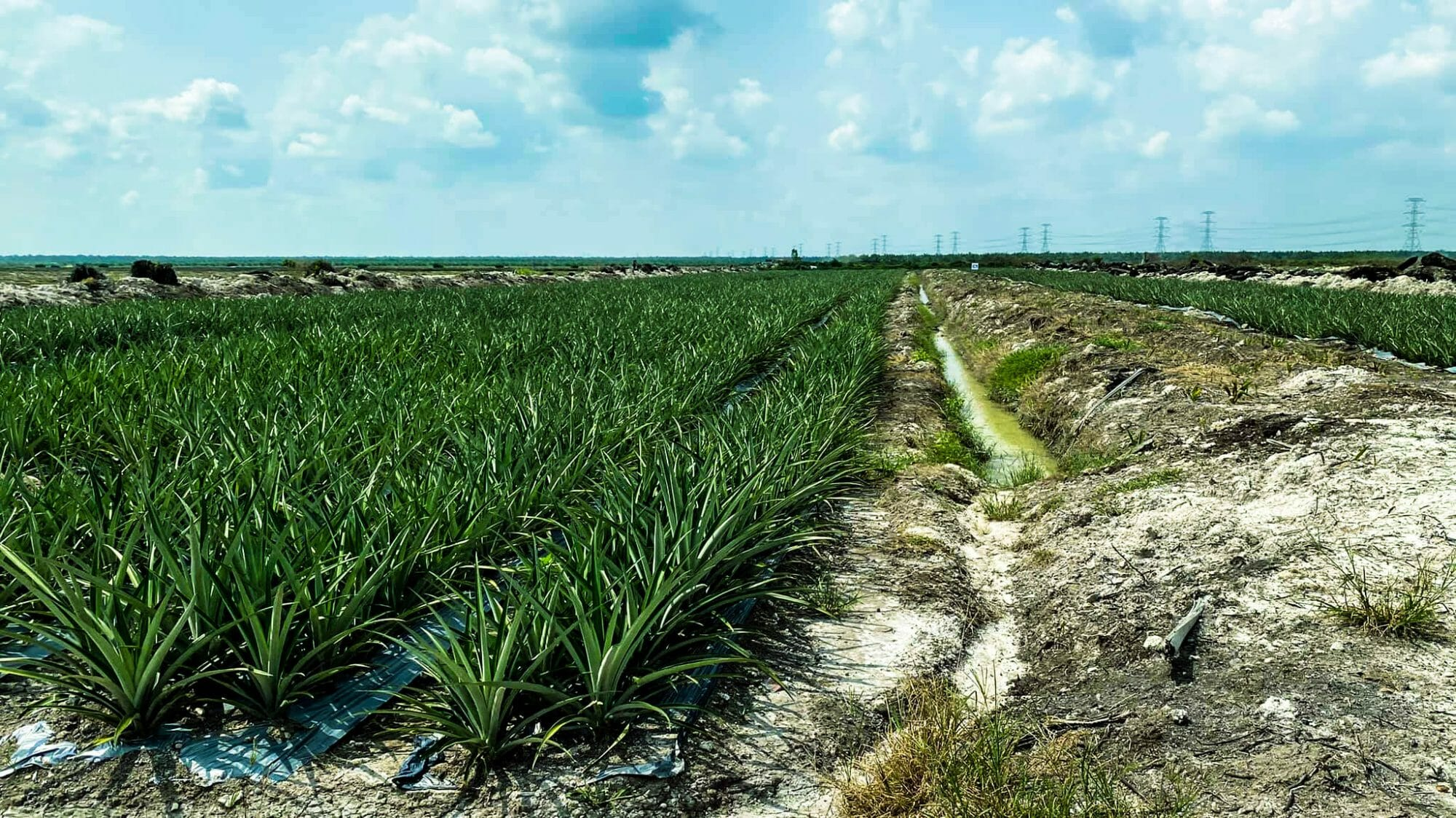 image_2026-04-01_11-09-50