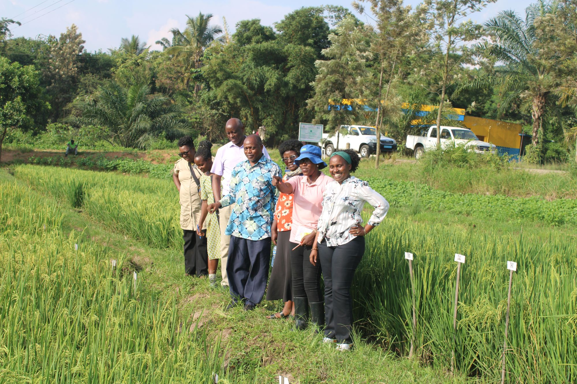 image_2026-04-01_11-44-46