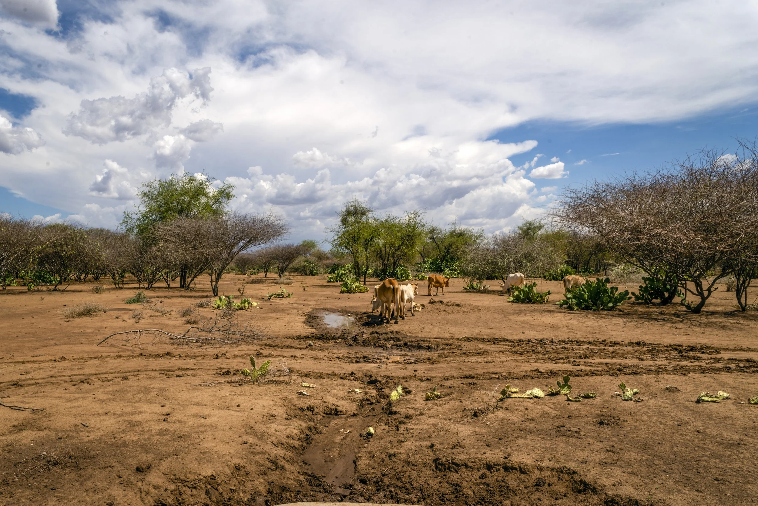 image_2026-04-01_11-53-42