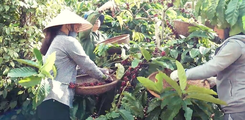 image_2026-04-01_15-10-32