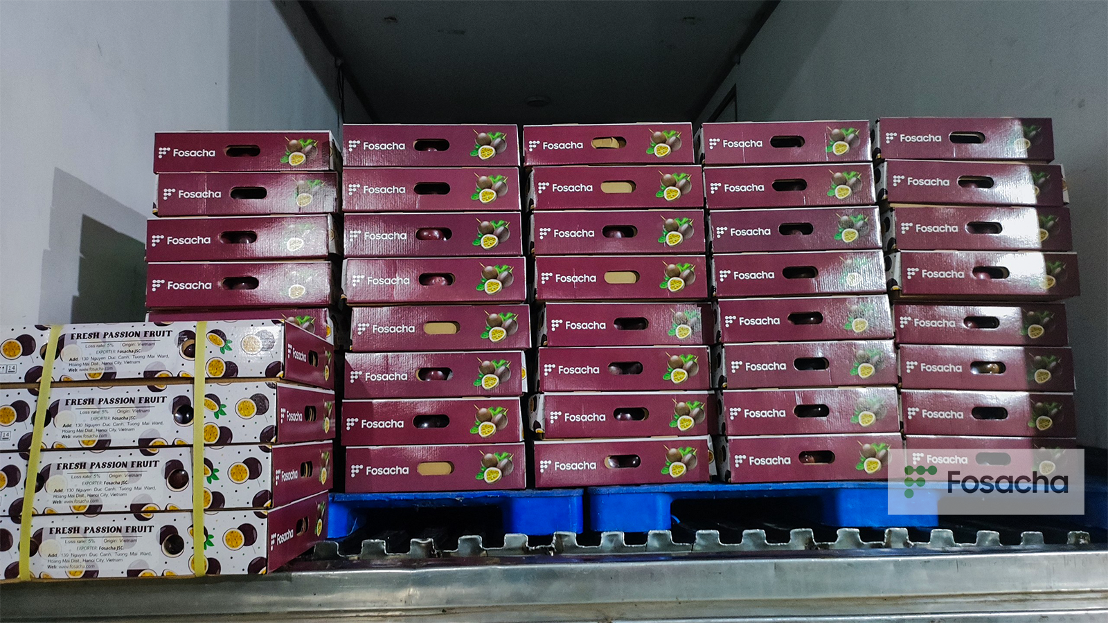 image_2026-04-21_09-17-26