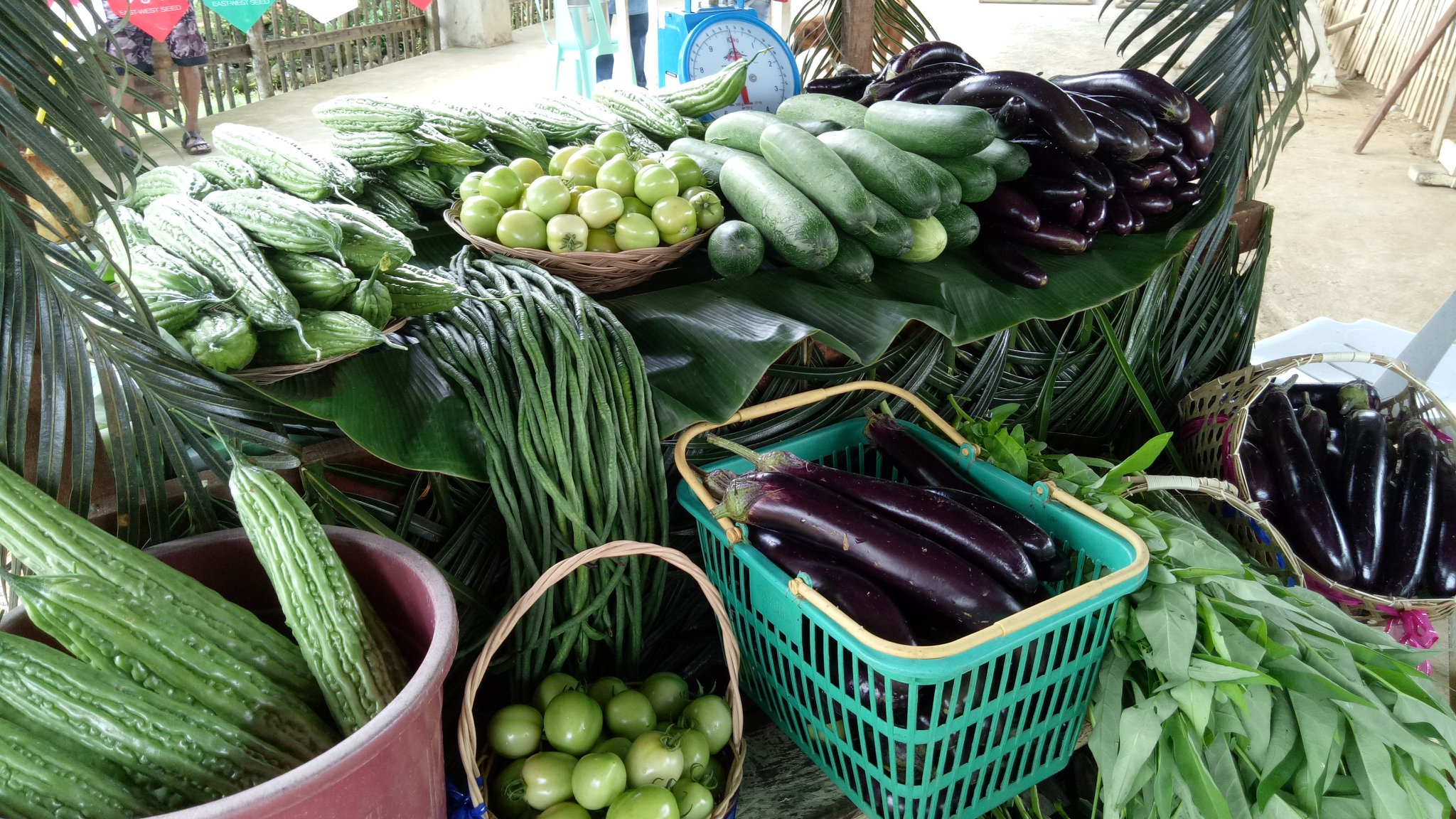 image_2026-04-21_10-11-45