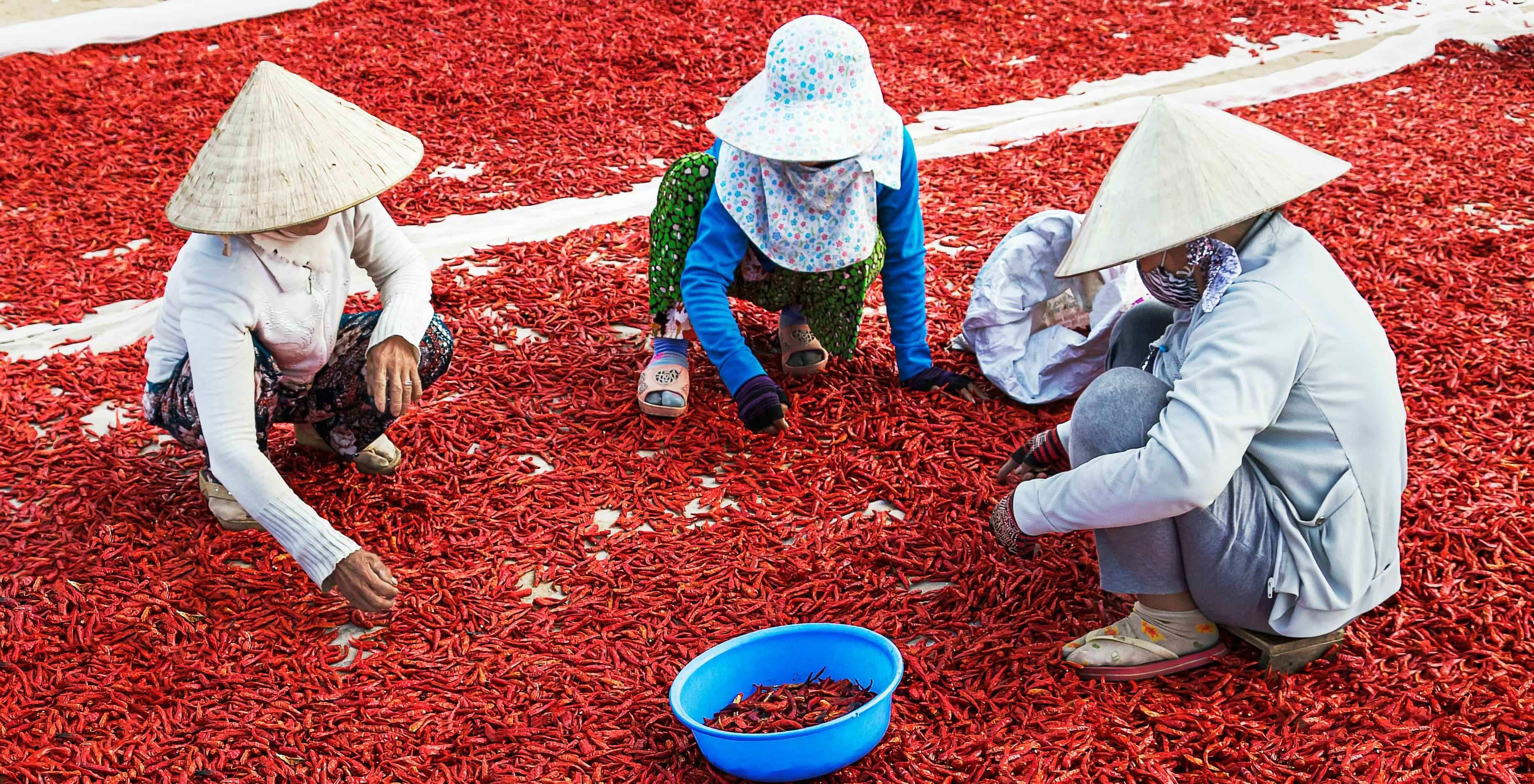 image_2026-04-24_12-26-05